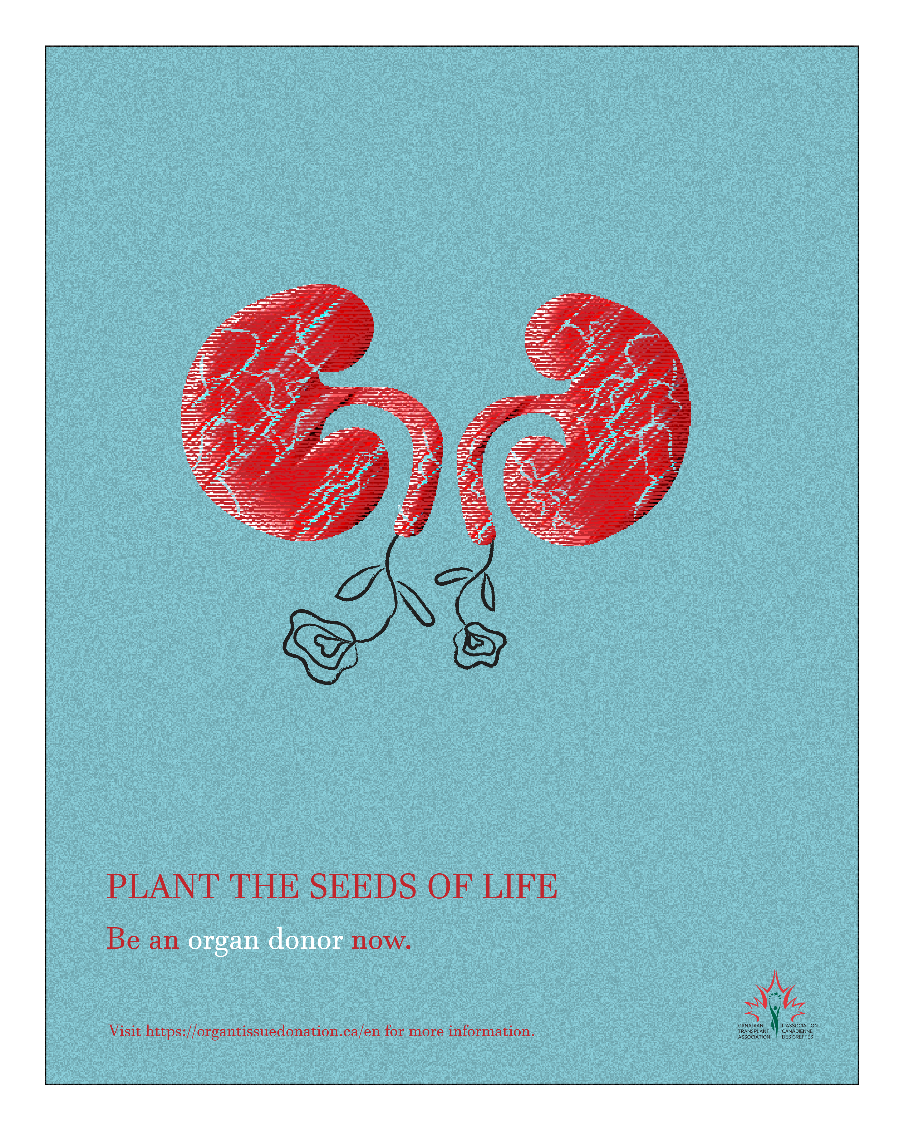 Canadian Transplant Association - Organ Donation Campaign - Kidney Poster