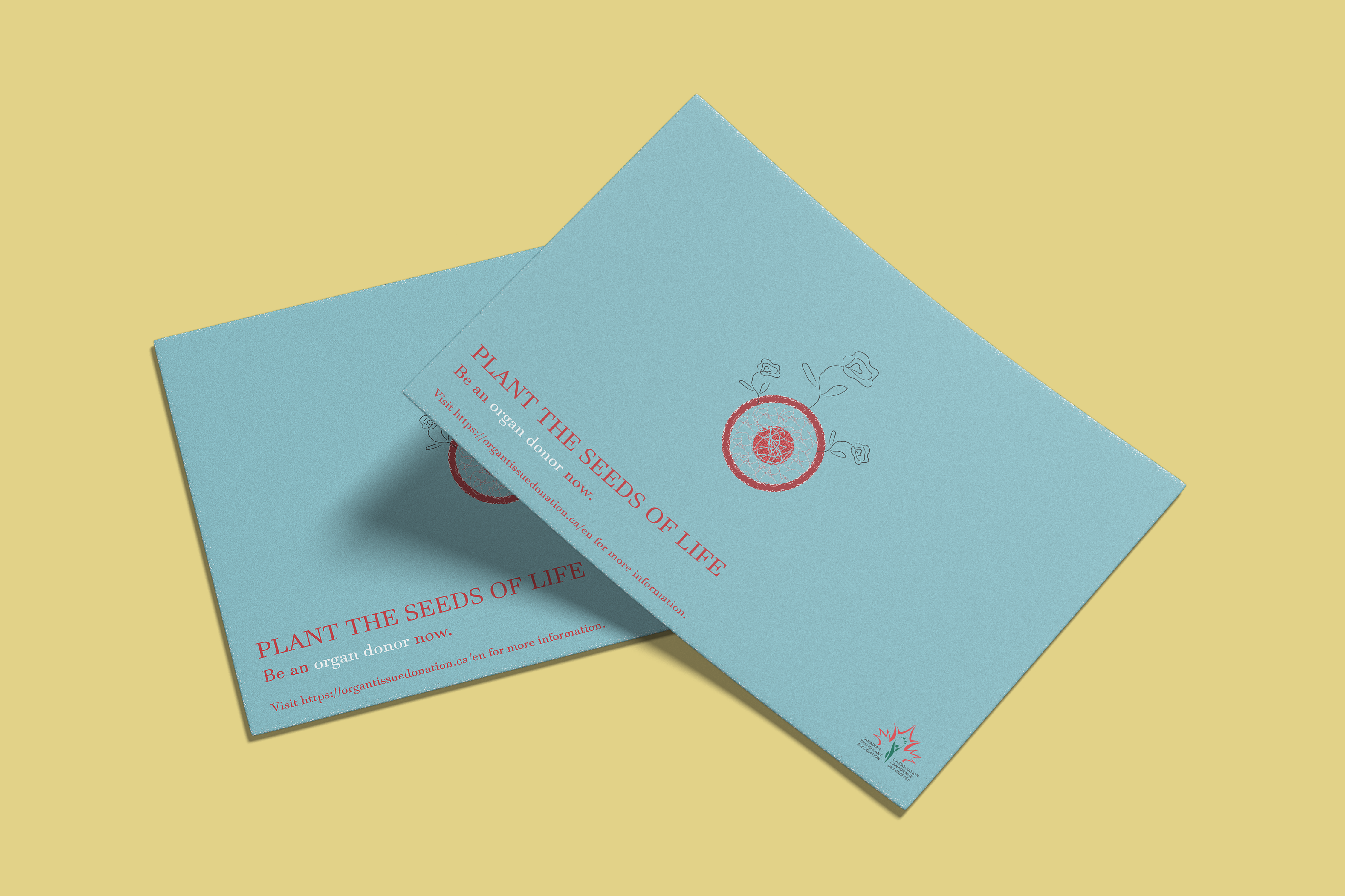 Mock-Up 4