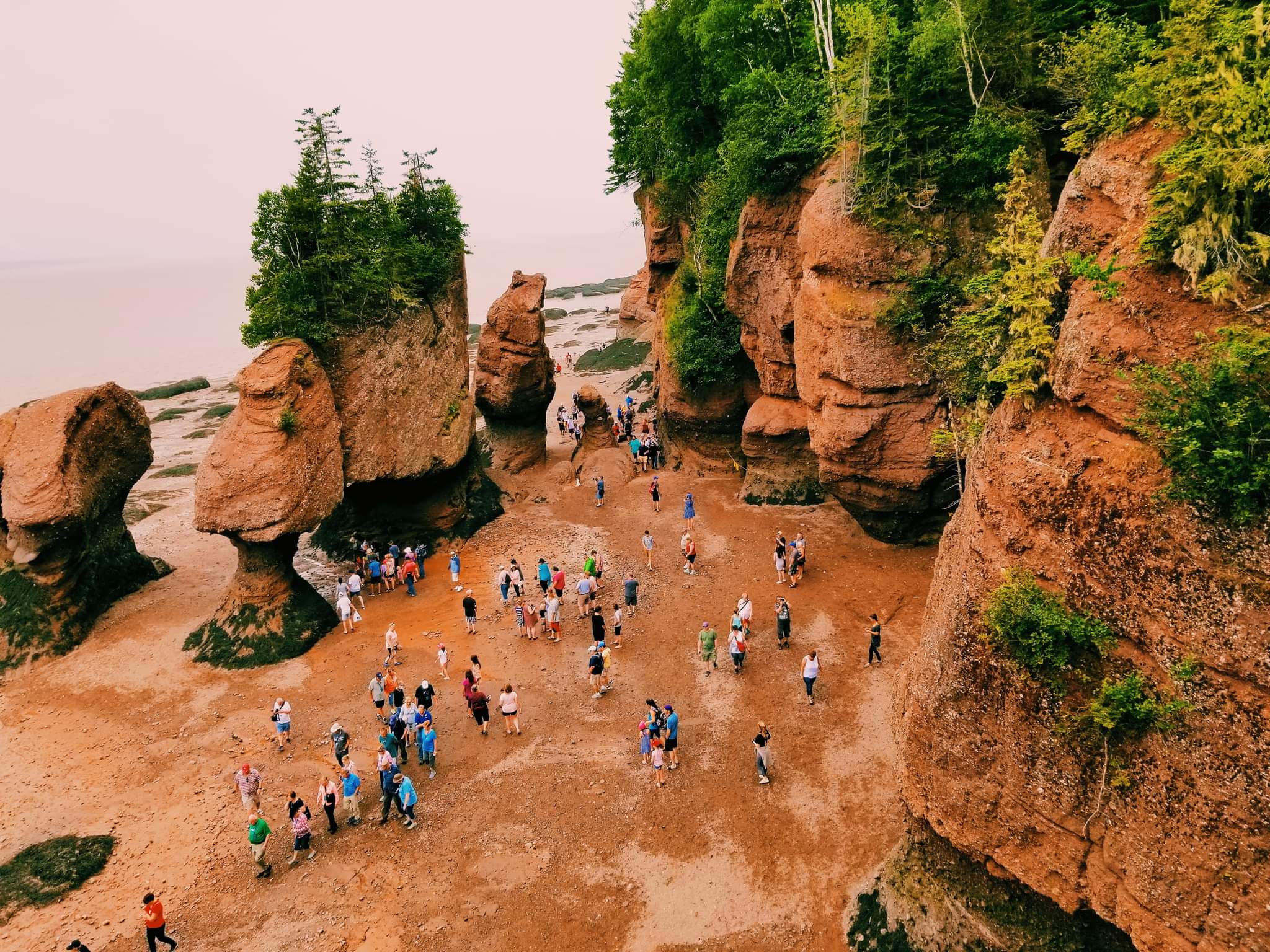 Hopewell Rocks Provincial Park